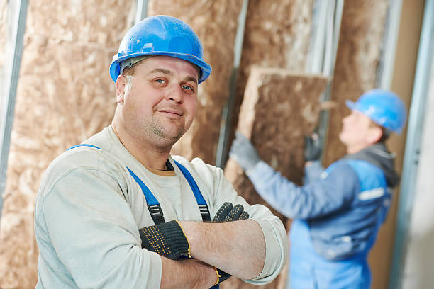 Professional Insulation Services in Sumner, IL